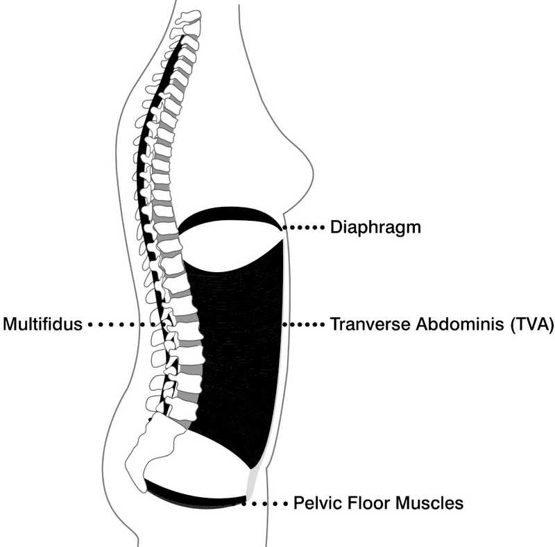 pelvic floor and diaphragm