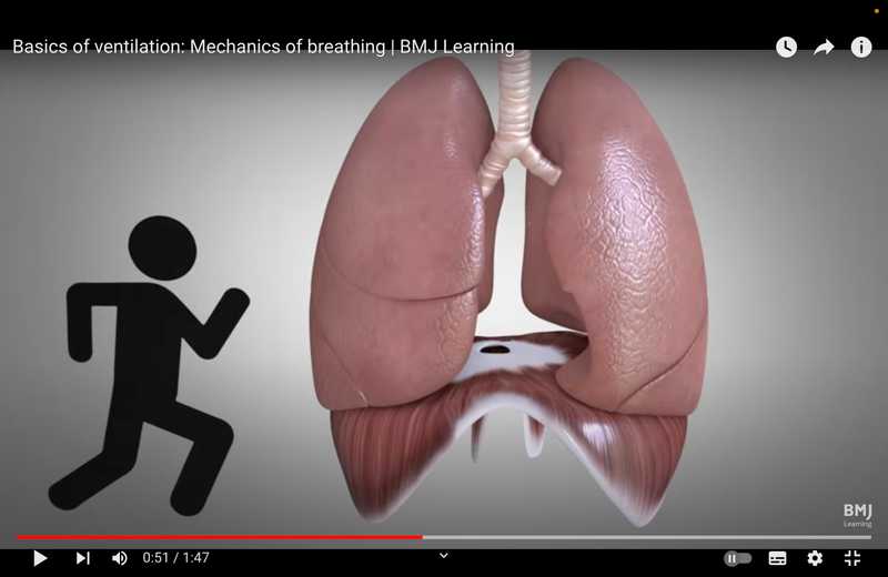 basics breathing bmj